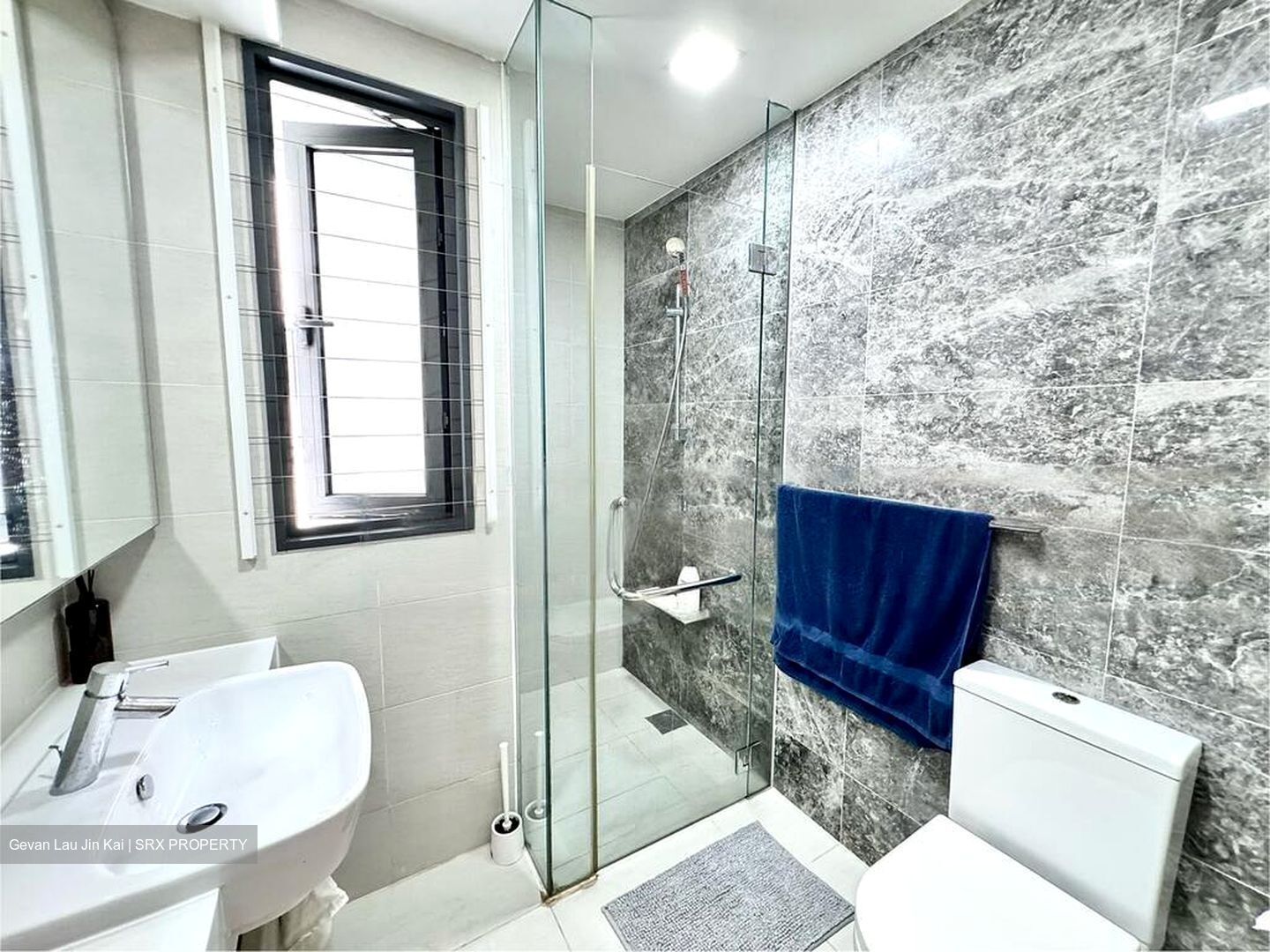 The Lakefront Residences (D22), Condominium #452327851